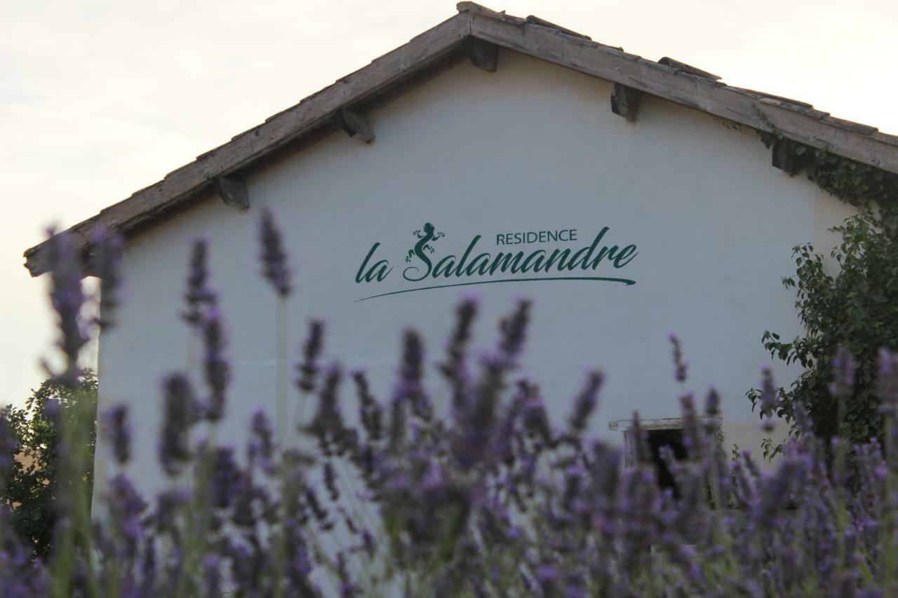 Residence La Salamandre Kamers Rabastens Kültér fotó